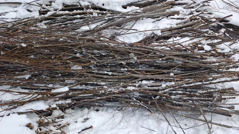 柳条自产自销规格齐全天南地北配送