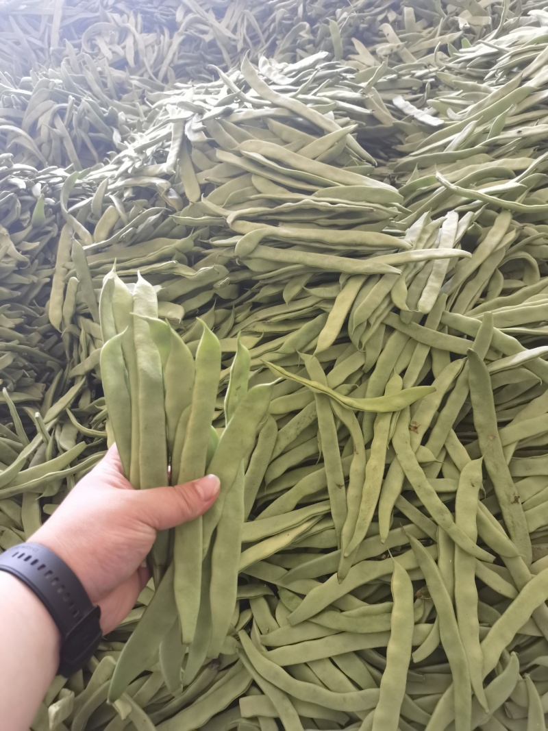 电商扁豆产地直发质量保证全国发货一手货源对接各大电商平台