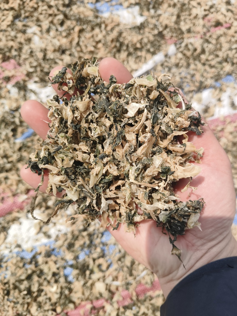 梅干菜，蒸制品和晒制品/两个品，香味扑鼻，工厂现发，无沙