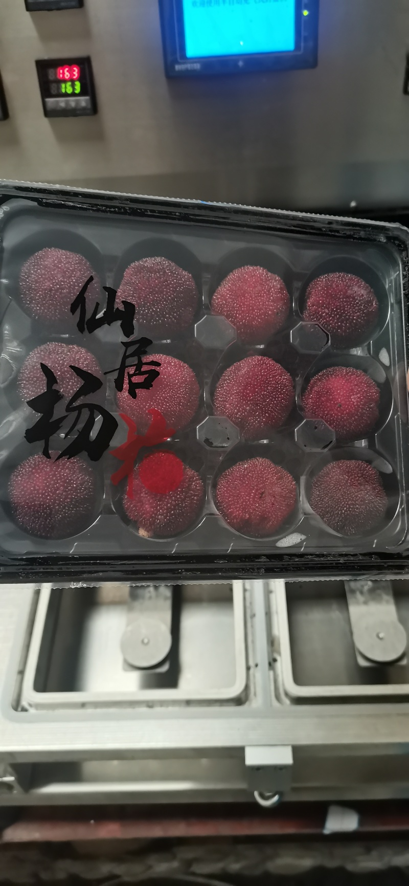 仙居杨梅原产地种植批发大户支持一件代发礼盒真空包装