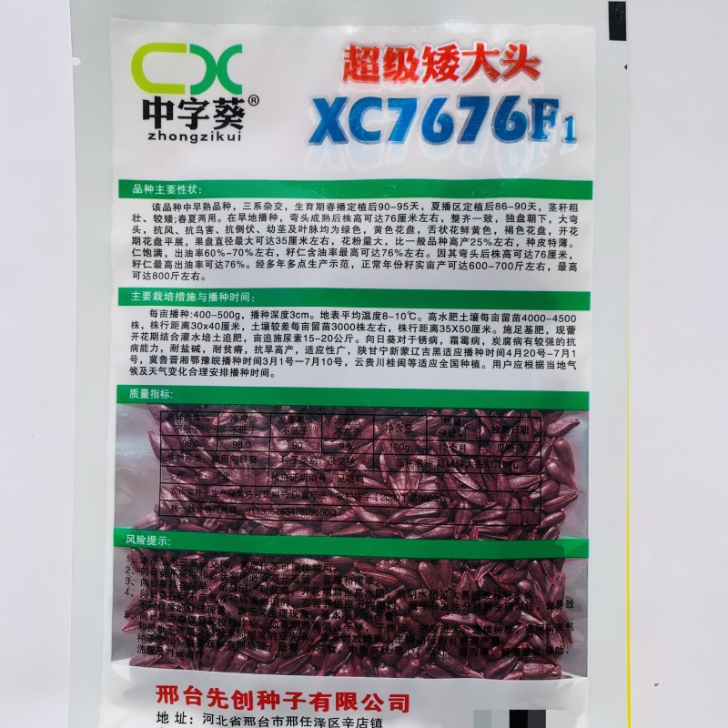 超级矮大头XC7676油葵种子早熟矮杆高产高油抗病