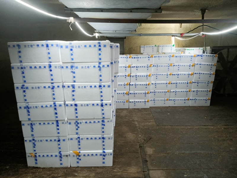 优质蒜米，产地直销。品种齐全，可批发，可零售，代发车。