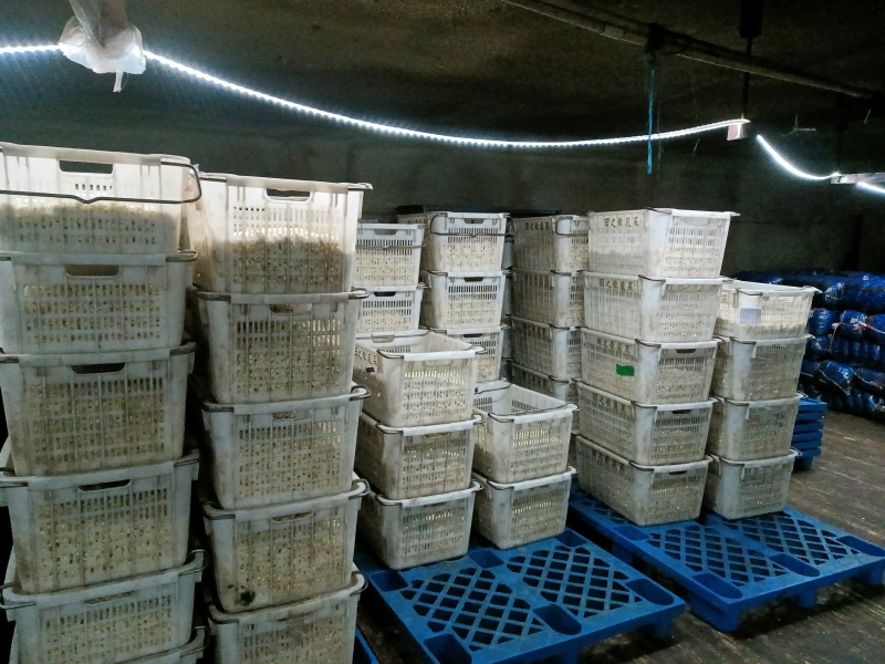 优质蒜米，产地直销。品种齐全，可批发，可零售，代发车。