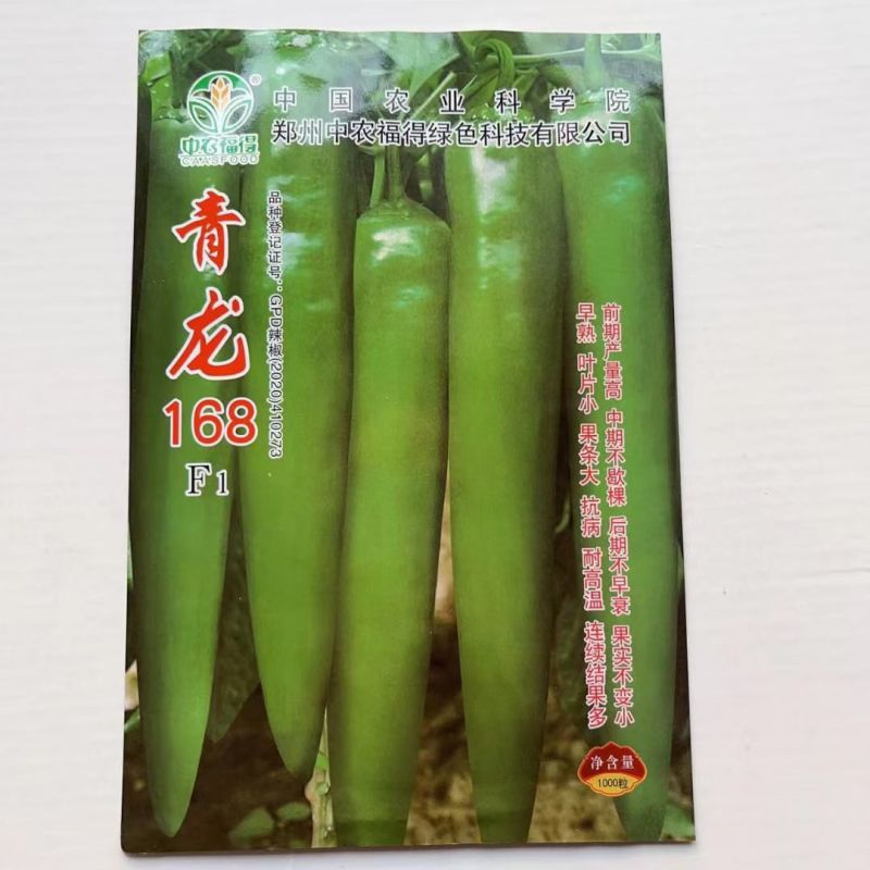 青龙168青皮羊角椒种子辣味中等光滑顺直早熟抗病