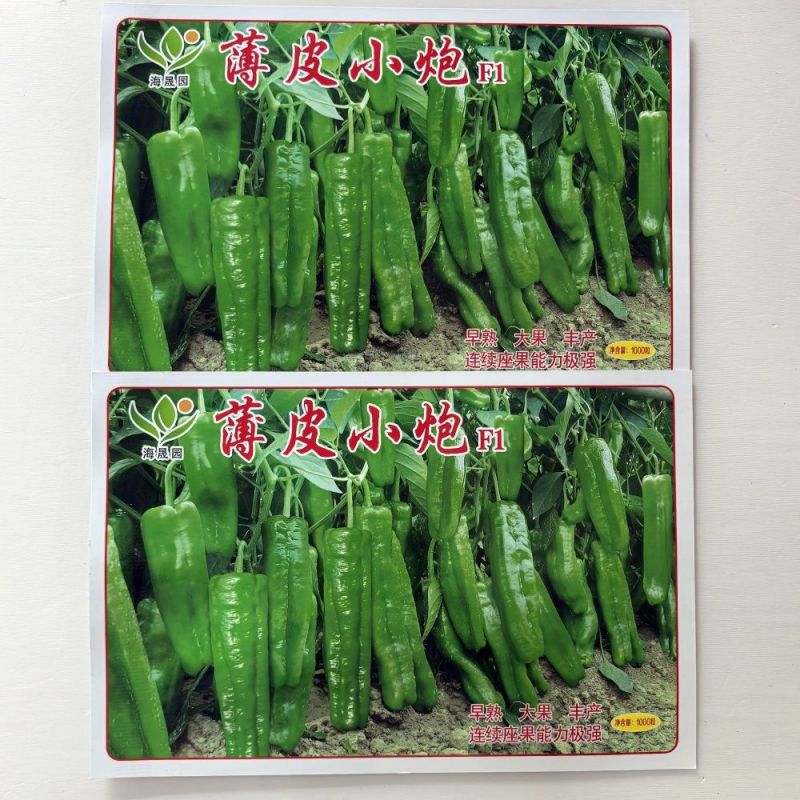 薄皮小炮泡椒种子早熟大果座果力强抗病薄皮辣椒种子春秋季播