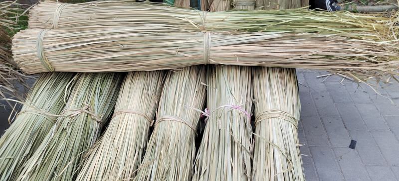蒲草干浦草湿蒲草工艺品蒲草绳原料