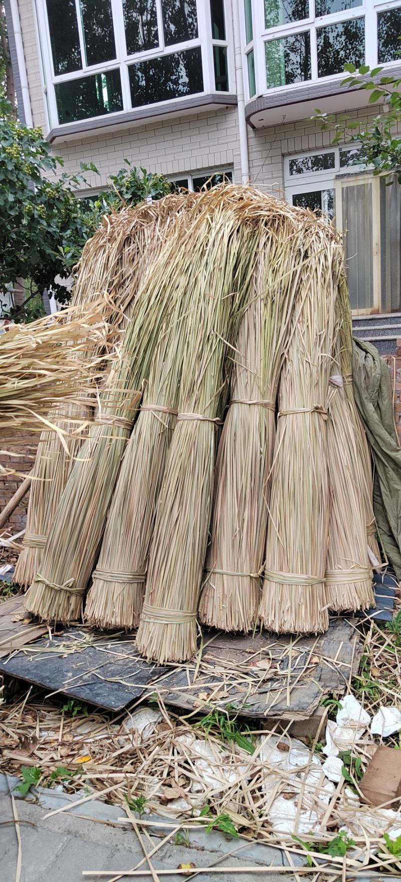 蒲草干浦草湿蒲草工艺品蒲草绳原料