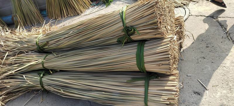 蒲草干浦草湿蒲草工艺品蒲草绳原料