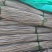 蒲草干浦草湿蒲草工艺品蒲草绳原料
