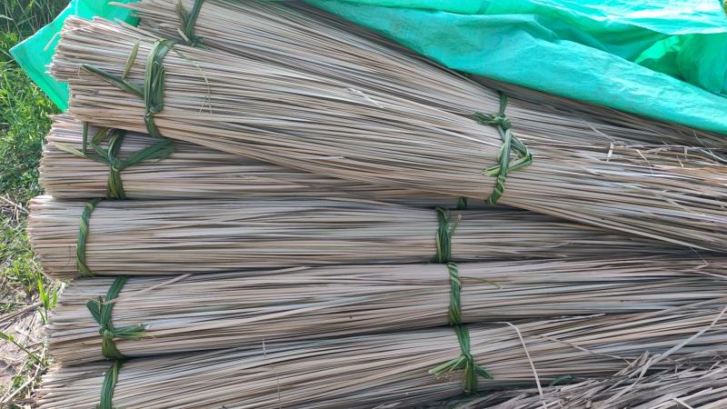 蒲草干浦草湿蒲草工艺品蒲草绳原料