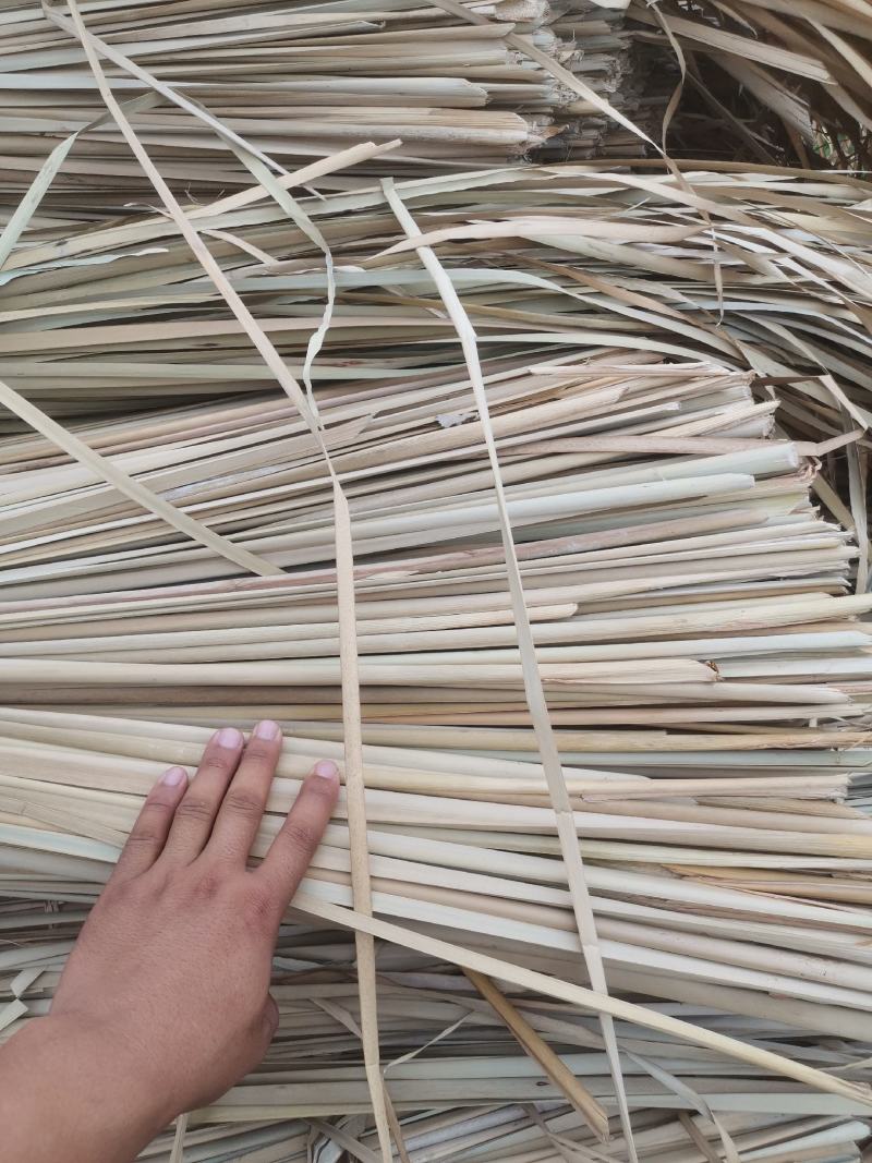 蒲草干浦草湿蒲草工艺品蒲草绳原料