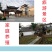 亲人梅花鹿景区用梅花鹿价格