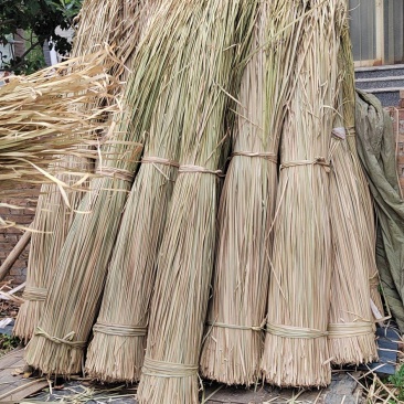蒲草干浦草湿蒲草工艺品蒲草绳原料