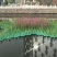 生态浮岛水上浮岛聚酯纤维浮岛