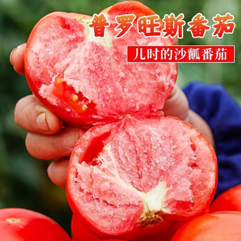 一件代发电商微商全平台