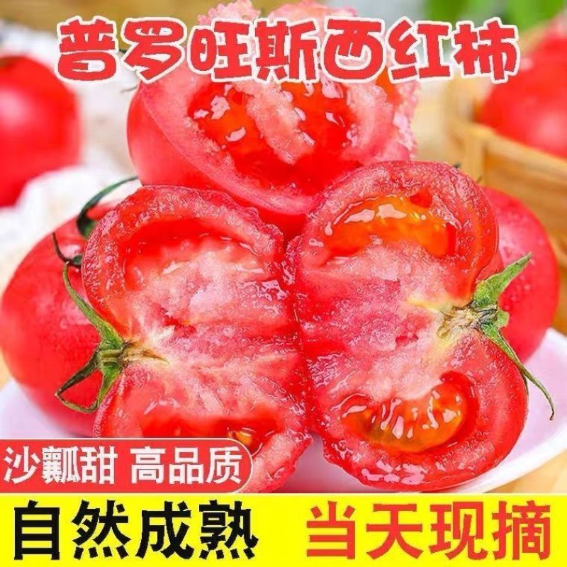 一件代发电商微商全平台