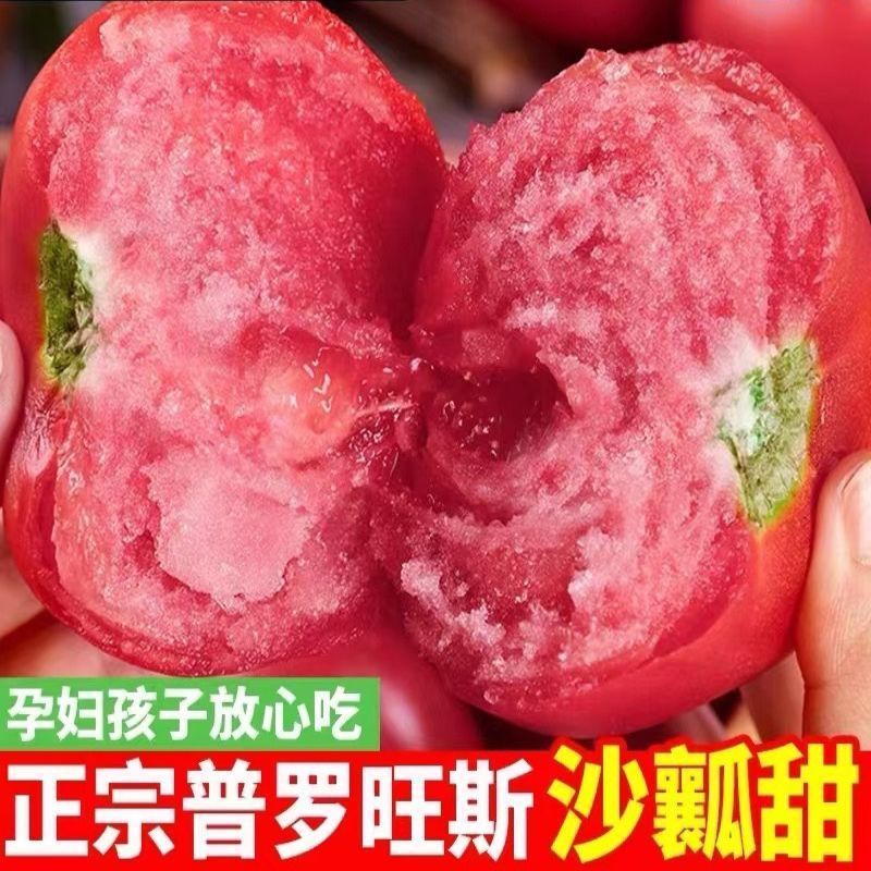 一件代发电商微商全平台