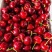 山东优质先锋樱桃基地，大量上市中，美早红灯布鲁克斯，萨米