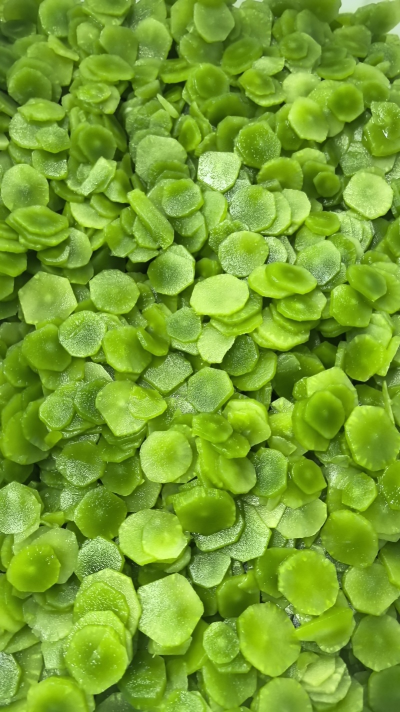 翡翠莴笋各种系列，各种规格，支持订制