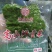 翡翠莴笋各种系列，各种规格，支持订制