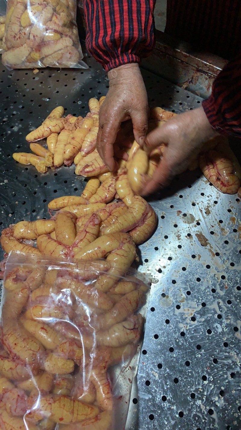 鲈鱼籽