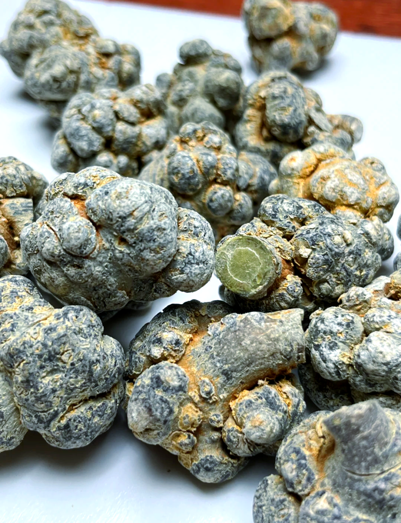 水洗65头云南文山全干零水分三年生60头春三七，可切片，