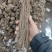 甘肃本地精品当归产地直发一手货源全国可发价格美丽
