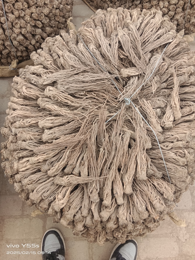甘肃本地精品当归产地直发一手货源全国可发价格美丽
