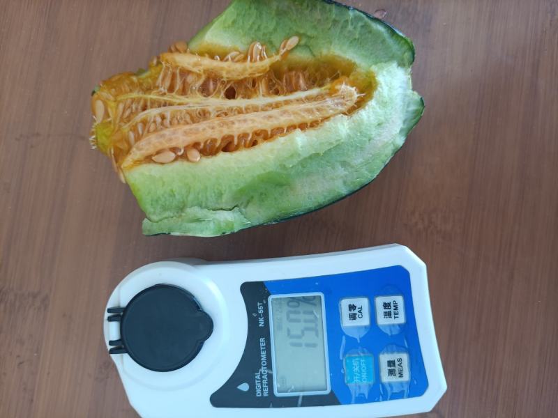博洋九甜瓜，自然成熟，自然甜