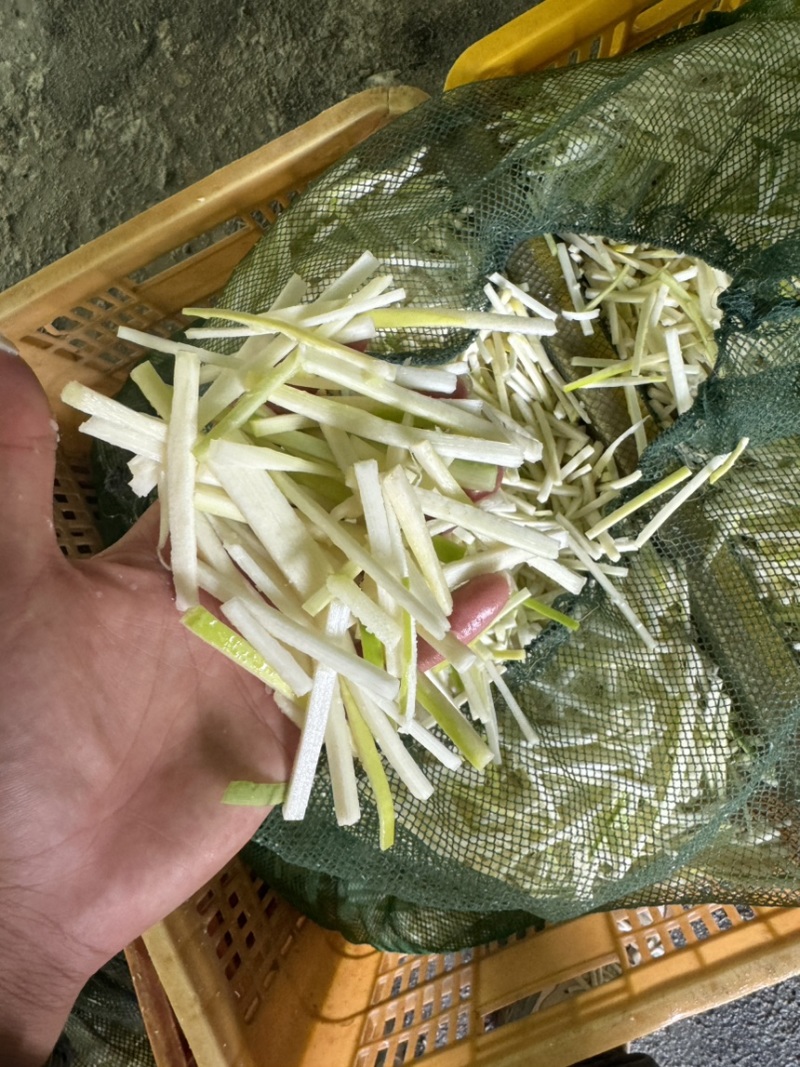硫笋丝，清水红油产品原料，英德产地直发