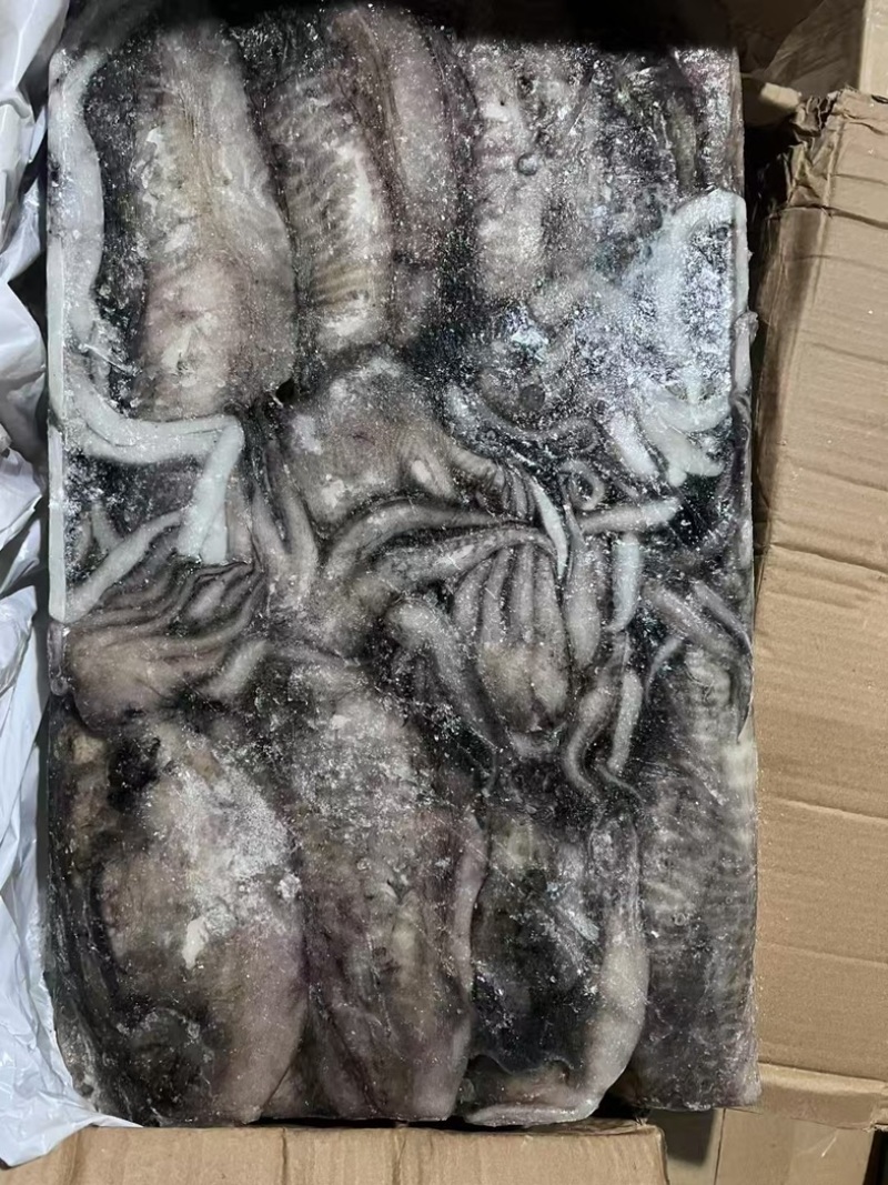 阿曼墨鱼原料1000-1500，1500-2000
