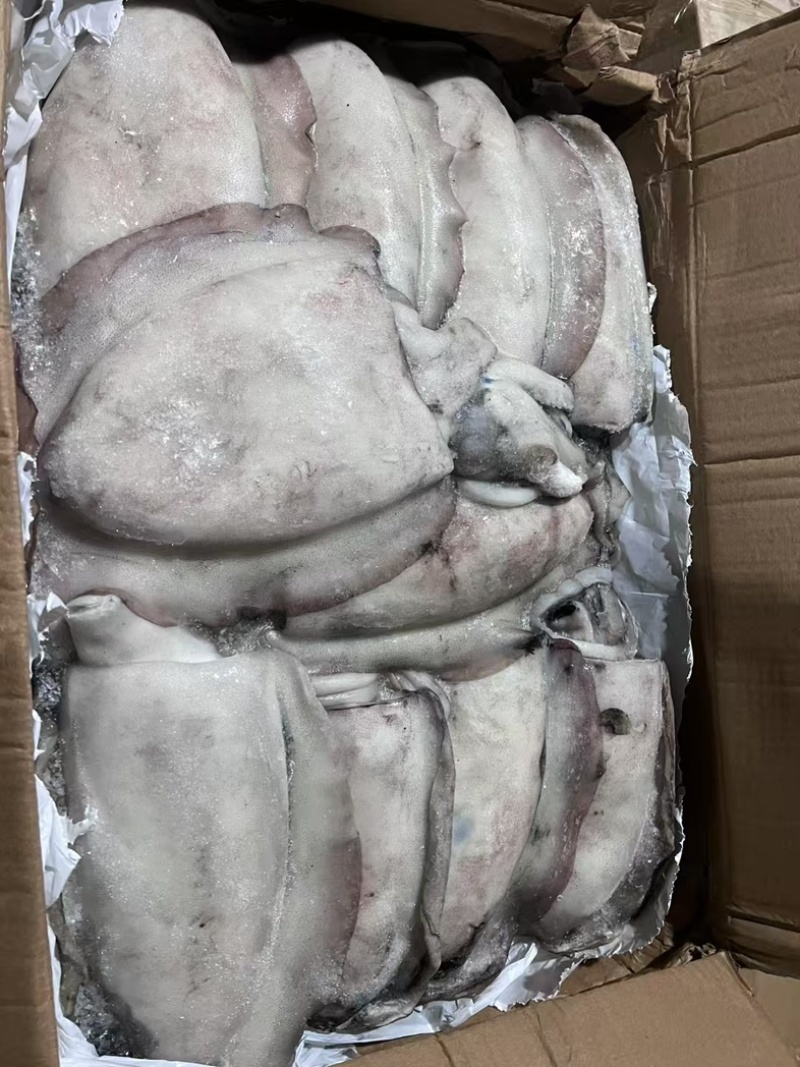 阿曼墨鱼原料1000-1500，1500-2000