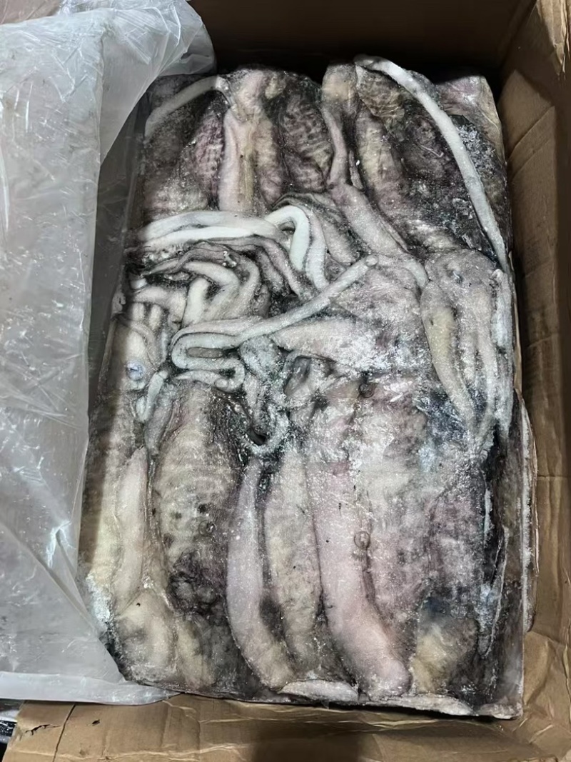阿曼墨鱼原料1000-1500，1500-2000