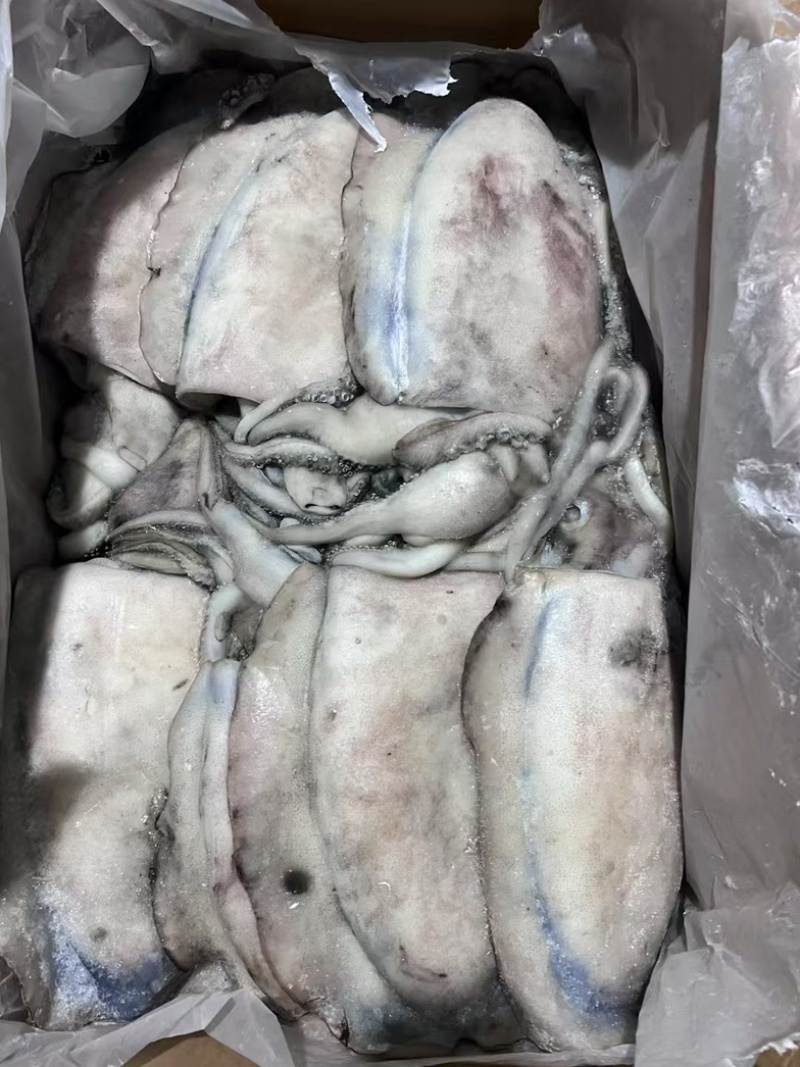 阿曼墨鱼原料1000-1500，1500-2000