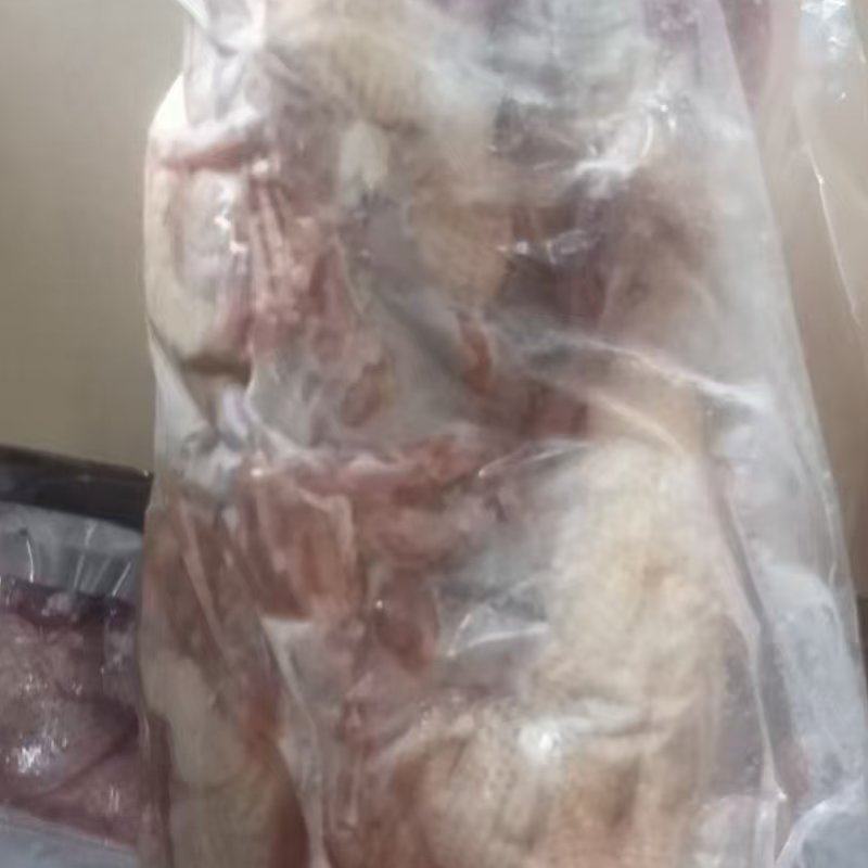 二级鸽子5-7两小包5只装还有15000只