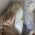 鳕鱼片鳕鱼块鳕鱼段冷冻鳕鱼