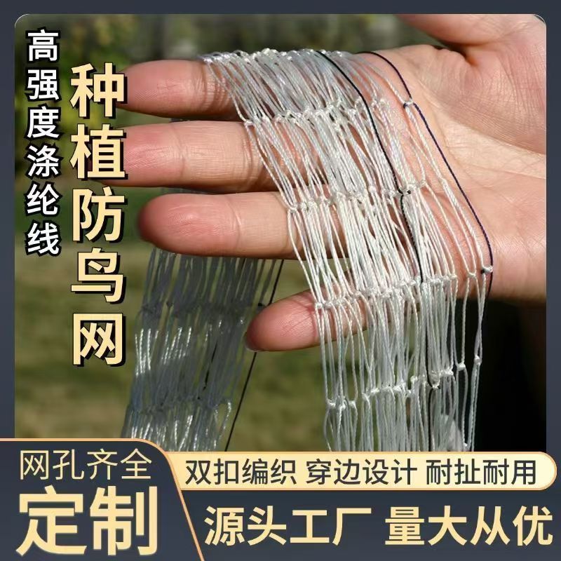 涤纶合股材质大棚通风口防鸟网果园防鸟网专用养殖天网