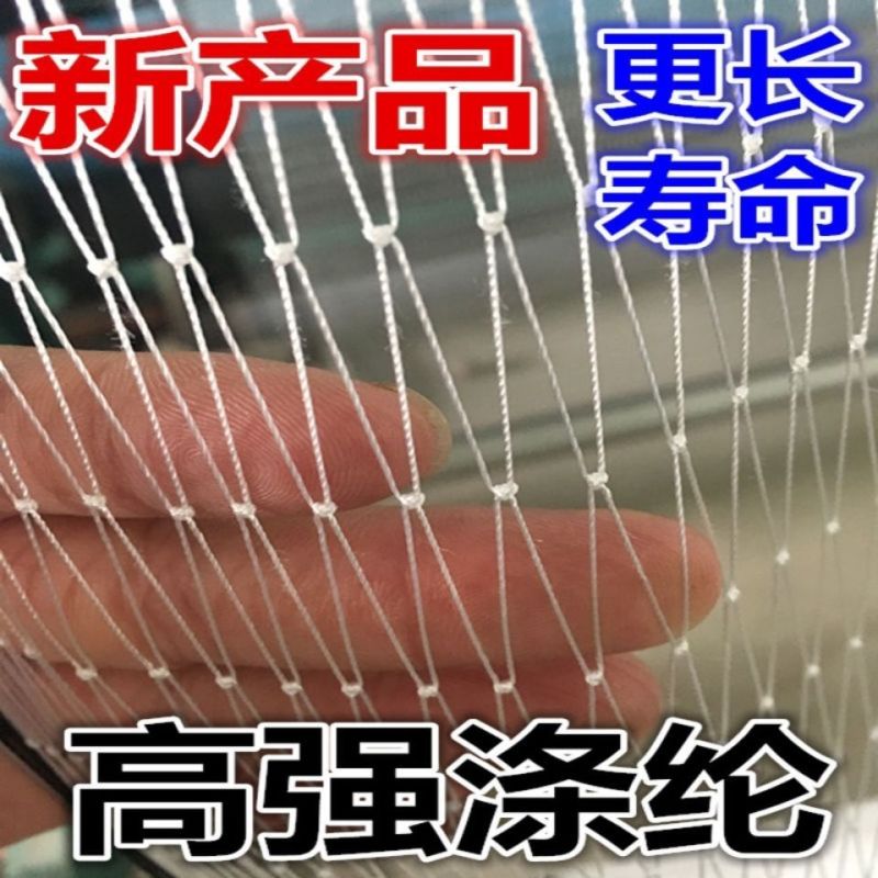 涤纶合股材质大棚通风口防鸟网果园防鸟网专用养殖天网