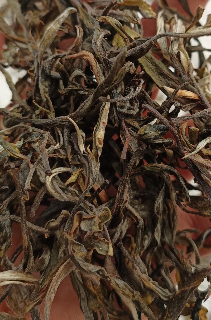 永奕號普洱茶