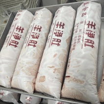 育肥羊羔羊净肚现货供应，全国冷链发货吨起价格低