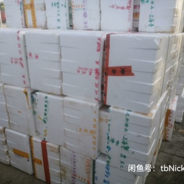二手泡沫箱