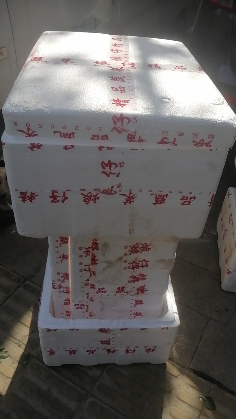 二手泡沫箱