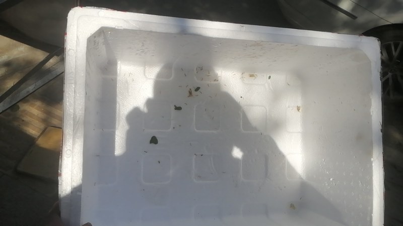 二手泡沫箱