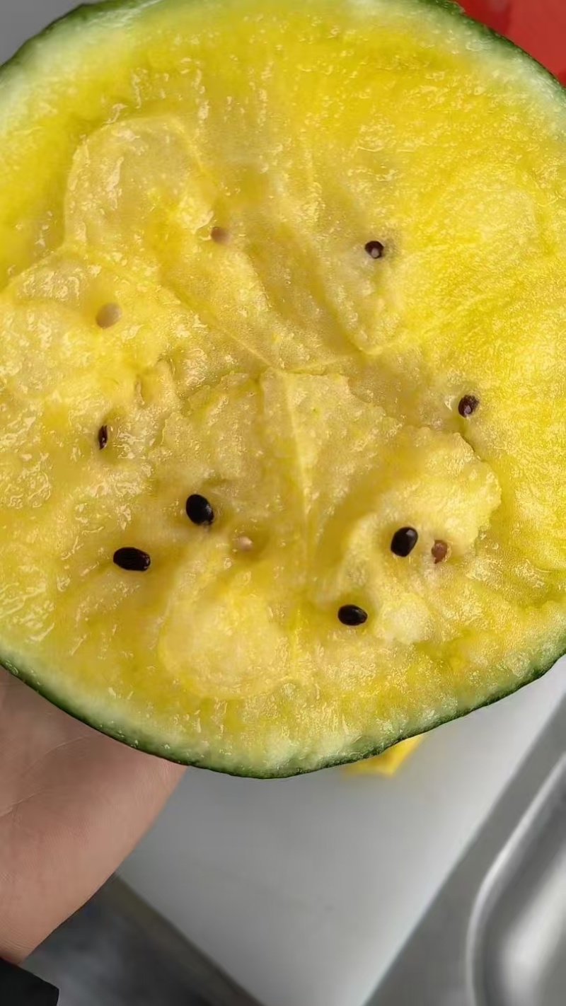 江苏盐城产区特小凤大量上市中皮薄多汁脆甜可口