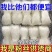 全网**传统龙口工艺粉丝健康火锅麻辣烫蒜蓉生蚝蒜蓉扇贝