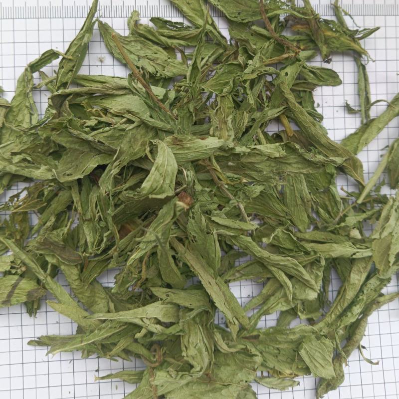 甜叶菊，规格齐全，对版，茶用新货颜色好实拍现货接单秒发货