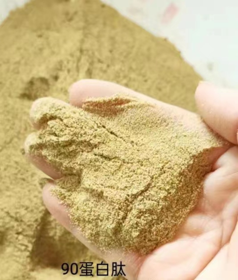 大豆胚芽粉，蛋白45保质保量，量大优惠。