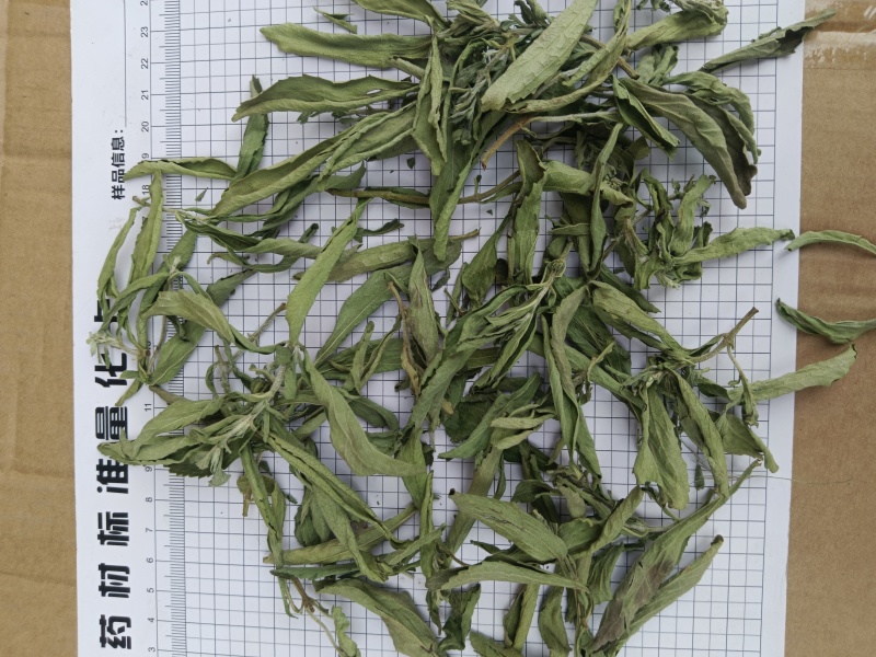 甜叶菊，规格齐全，对版，茶用新货颜色好实拍现货接单秒发货