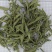 甜叶菊，规格齐全，对版，茶用新货颜色好实拍现货接单秒发货