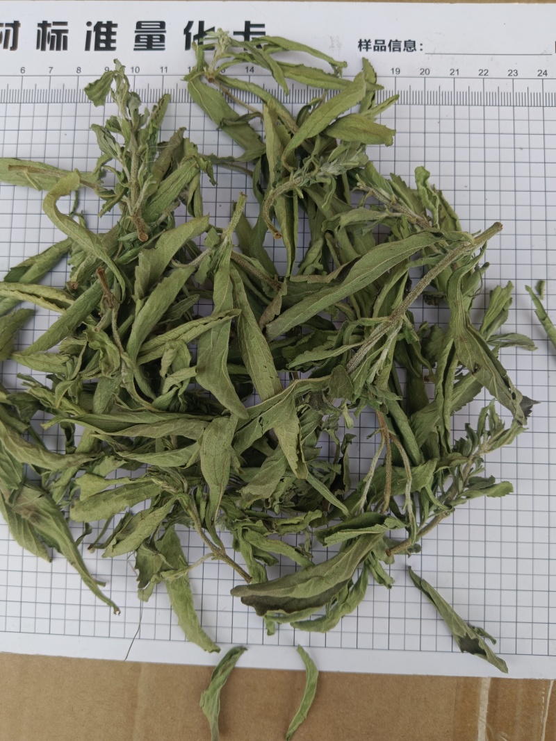 甜叶菊，规格齐全，对版，茶用新货颜色好实拍现货接单秒发货